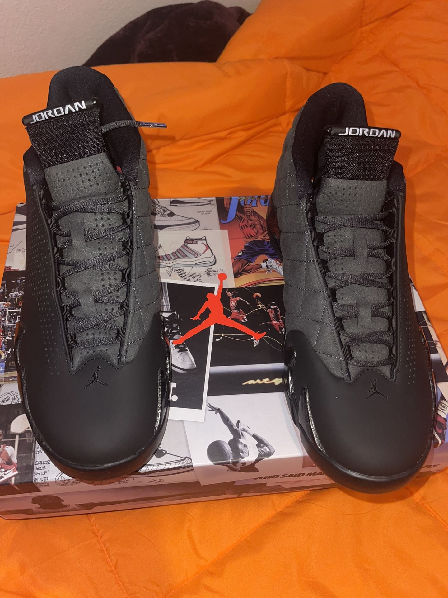 Nike Air Jordan( Retro 14 SE )