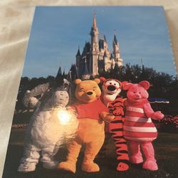 Winnie The Pooh Postcard