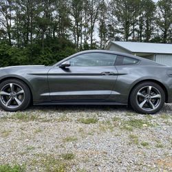 Immaculate 2016 Ford Mustang GT