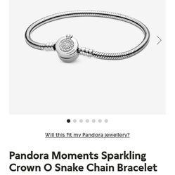 Pandora Charm Bracelet 6.3in