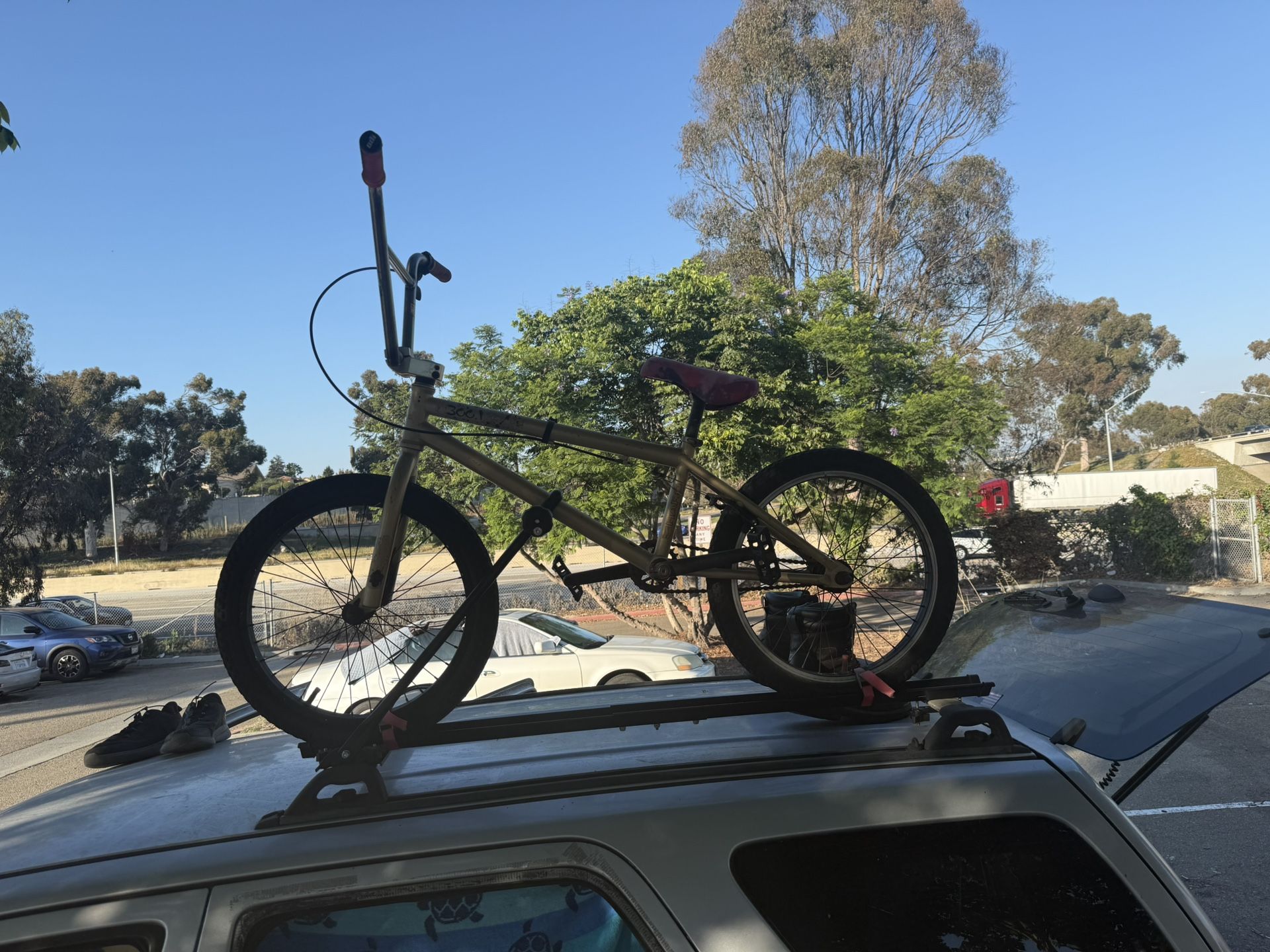 Custom BMX Bike