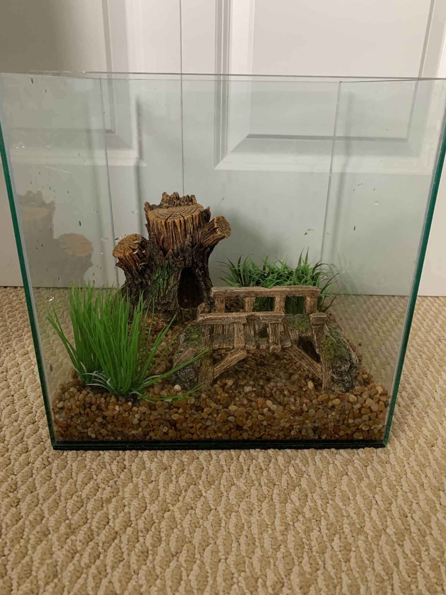 6 Gallon Frameless Tank, With Decor, Filter, Heater, And Light.