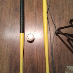 Whiffle Ball bats and ball