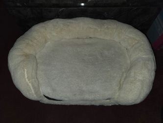 White Elevated Cat Bed
