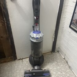Dyson   Ball Animal  pro plus