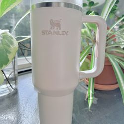 40 Oz Pastel Pink Stanley Cup