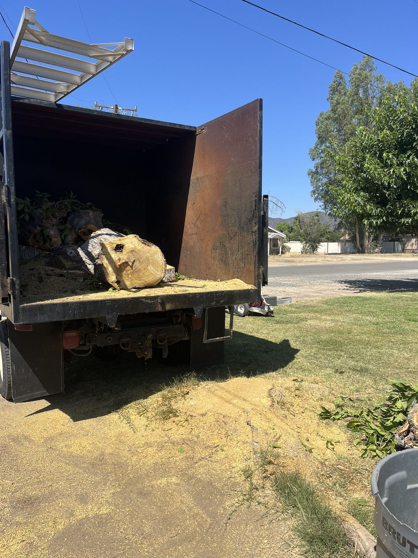 🦫Stump Removal🦫