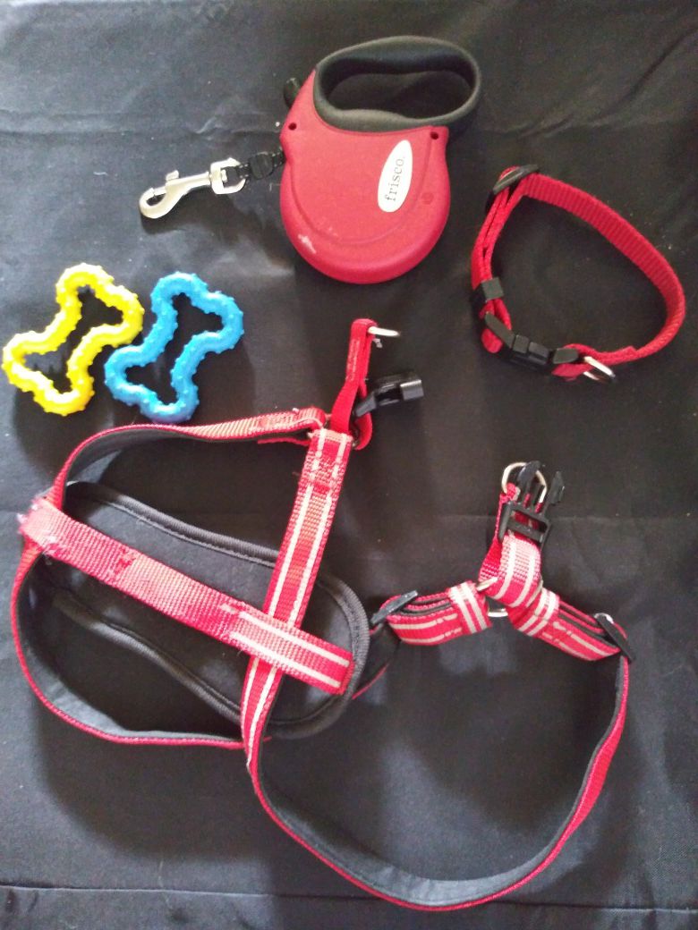 Dog Harness, Leash, & Collar