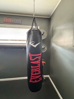 Everlast 100lbs  punching bag