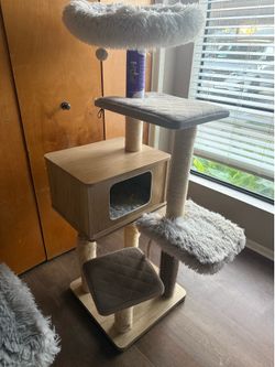 Tan cat tree