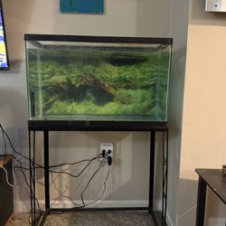 Fish Tank For sale