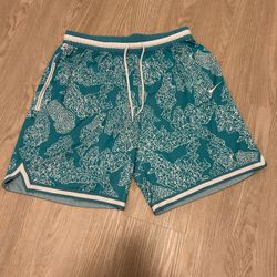Men’s Nike Shorts