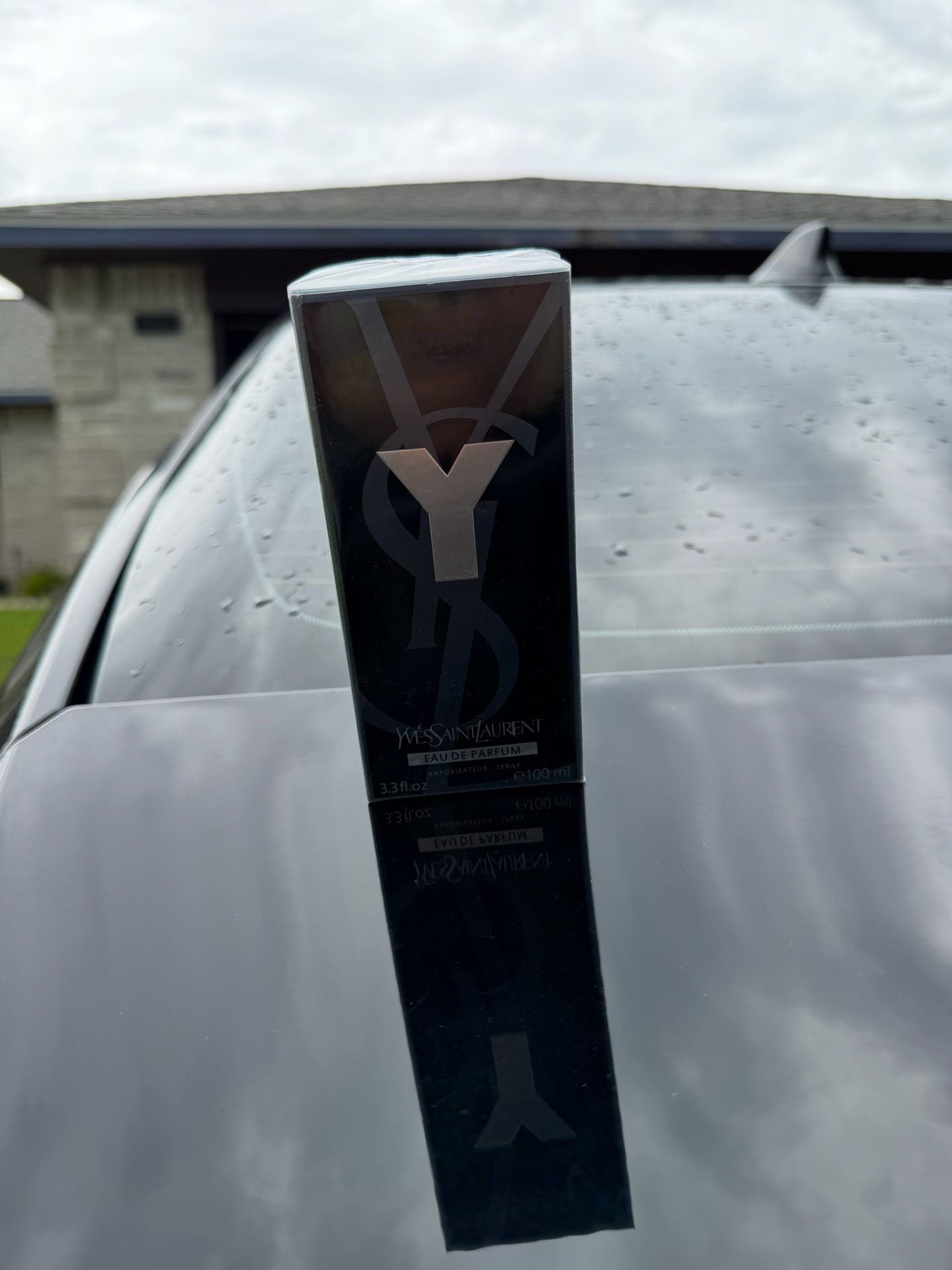 Ysl Y
