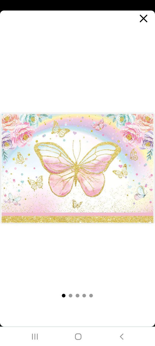 Butterfly Birthday Party Decorations 