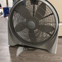 Fan
