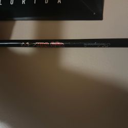 Silver Max Gx2 Casting Rod Combo 