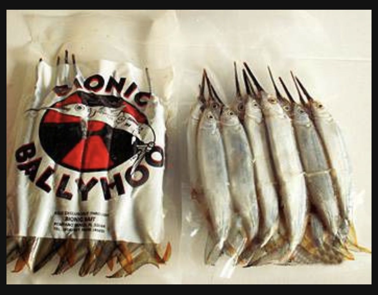 Are You Yellowtail Fishing, We Have Fresh New Canadian Silversides In