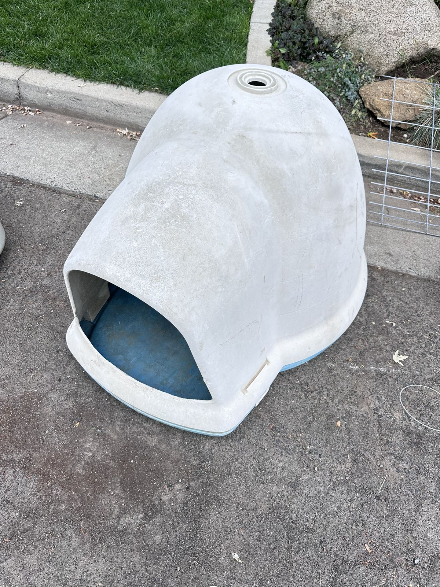 Free Dog 🐶 House ‘dogloo’