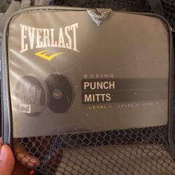 Everlast Boxing Punch Mitts