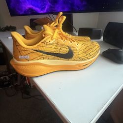 NIKE Pegasus 41 MENS 10