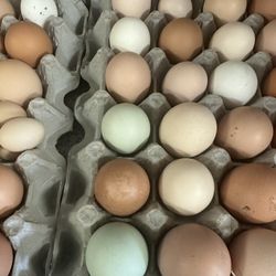 Organic Eggs 