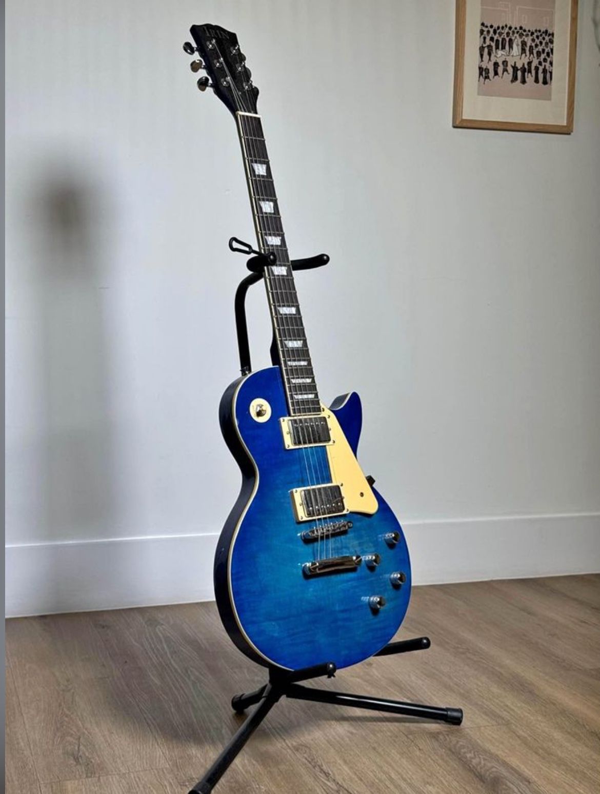 Beautiful Electric Guitar