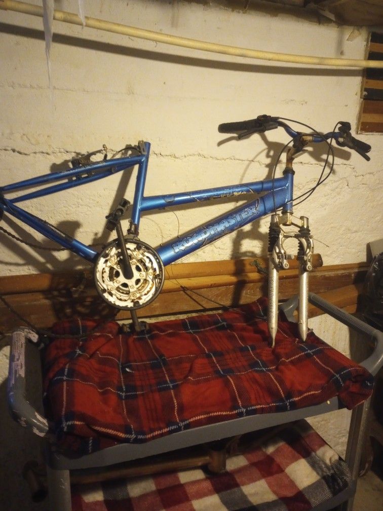Roadmaster Bike Frame