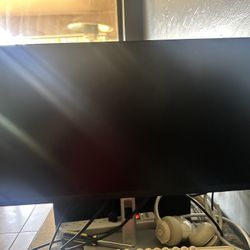 DELL 22in. Monitor