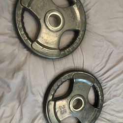 25lb pair of weights Pick up Ballard