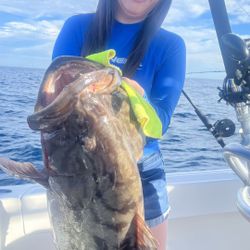 Fishing 🎣 Trips Rocky Point 