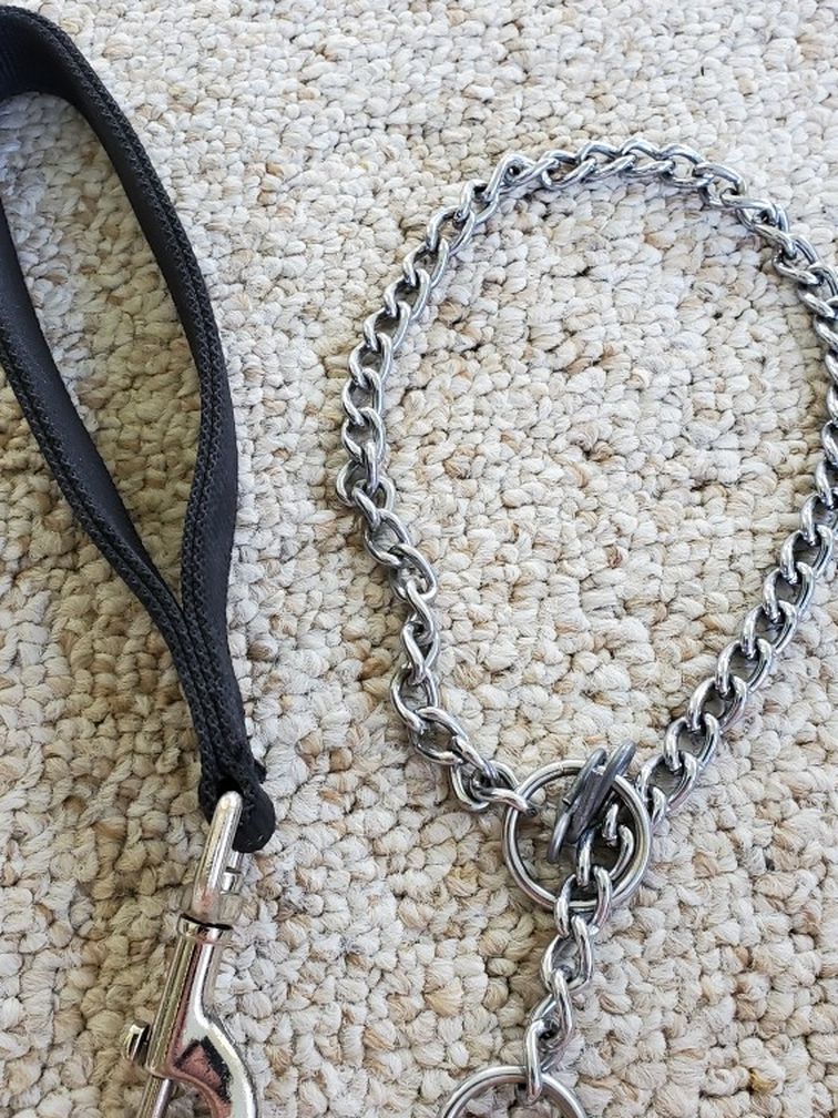 Large Breed Dog Chain and Leash