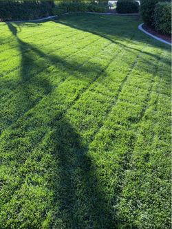 Lawn Mow*ing