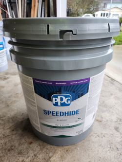 Interior Finish Paint