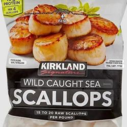 Fresh Jumbo Raw Frozen Scallops 