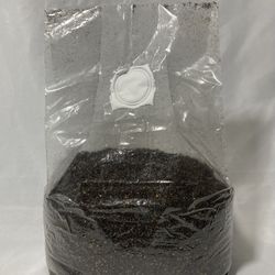 Mushroom Grow Kit