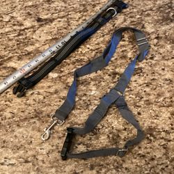 Brand New Dog Collar, And Leash