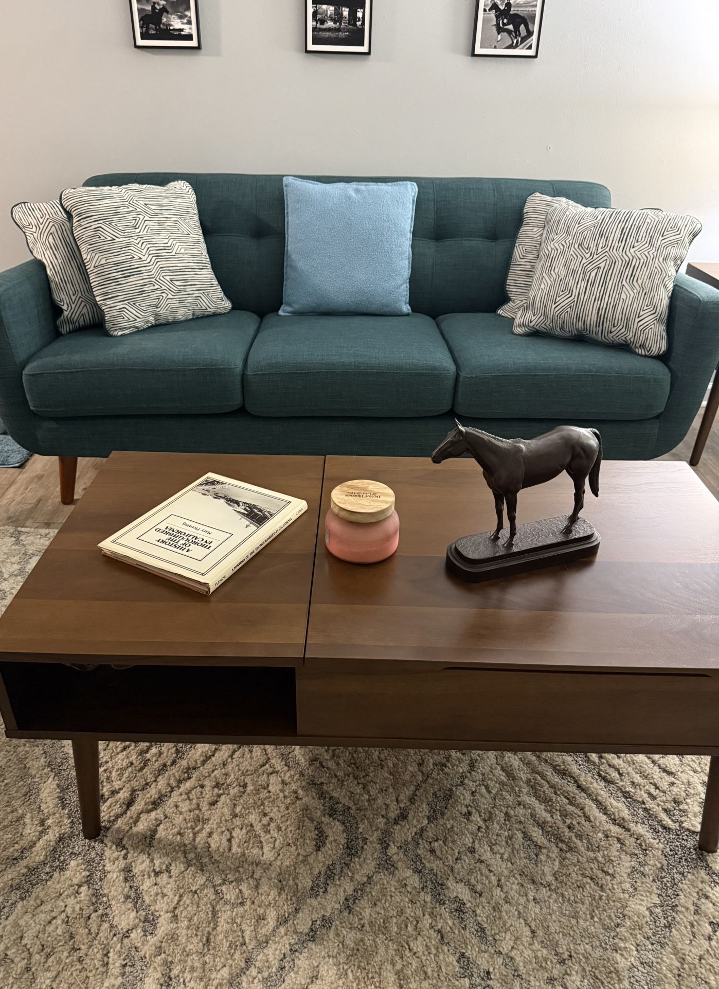 2025 New High-End Couch and Coffee Table