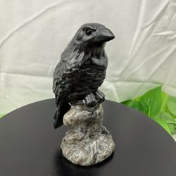 Crystal Obsidian And Yooperlite Crow