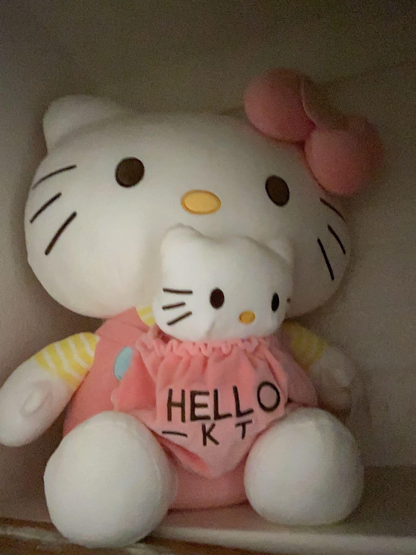 Hello Kitty With The Baby