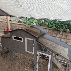 Chicken Coop