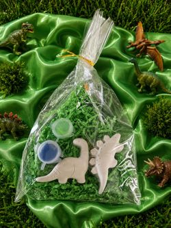Dinosaur painting kit