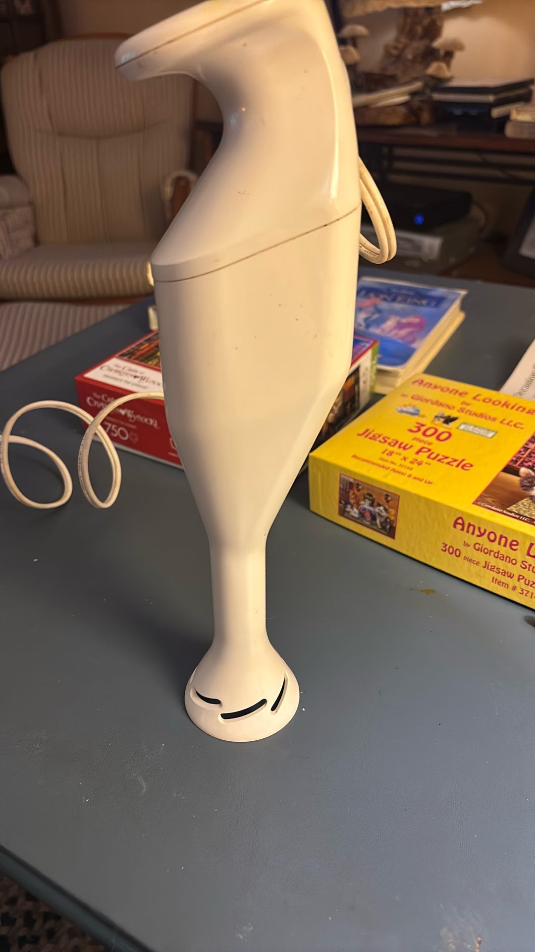 Immersion Blender