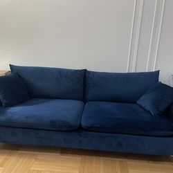 Velvet blue couch