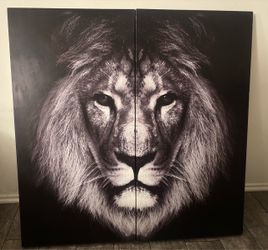 40x40 lion canva wall art