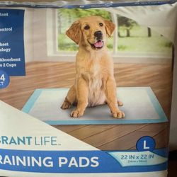 Training Pads/ Pee Pads 