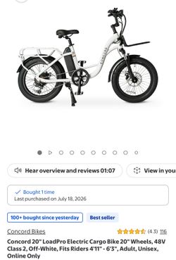 electric cargo bike 20” wheels 48V
