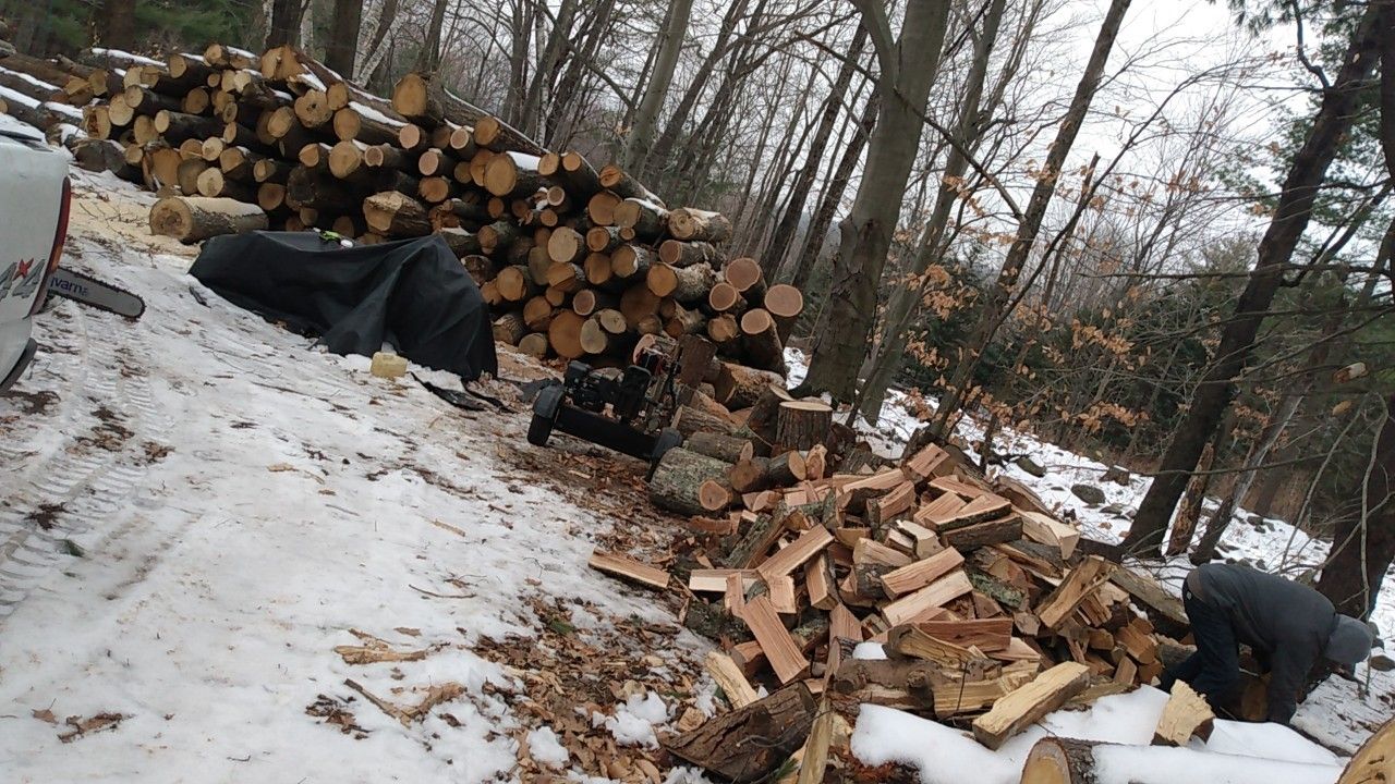 Cordwood. 350$ Per Cord.
