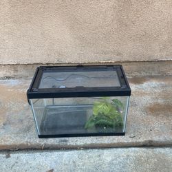 Reptile Enclosure