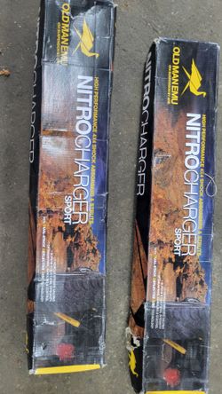 2 rear shocks