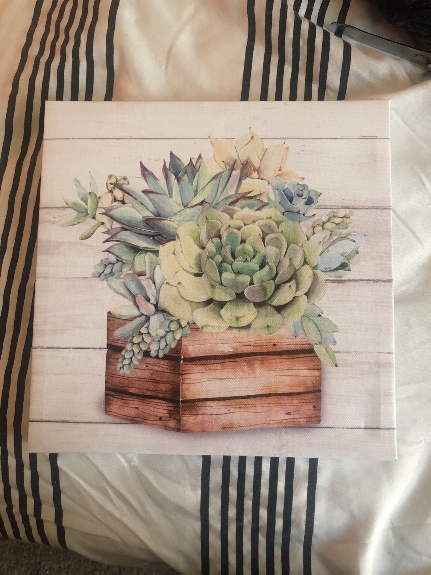 Succulent painting